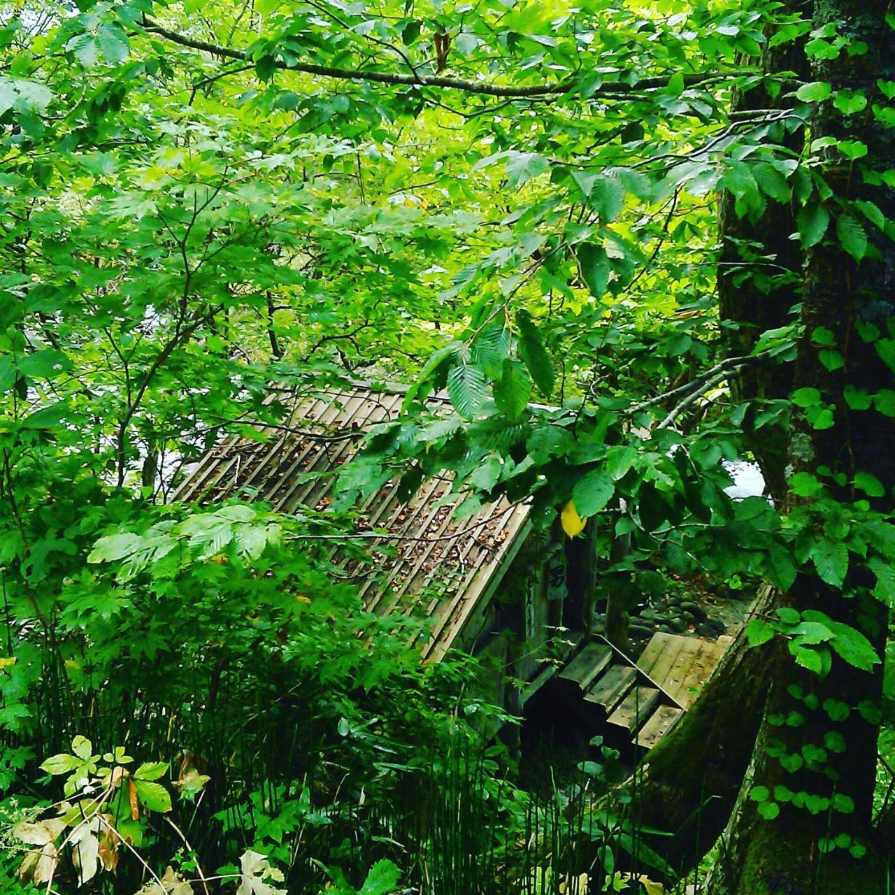 Nurukawa Onsen Hotel Hirakava Kültér fotó